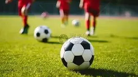 激情盛宴！球迷狂热票选：B费领跑曼联4-1狼队最佳表现风云榜