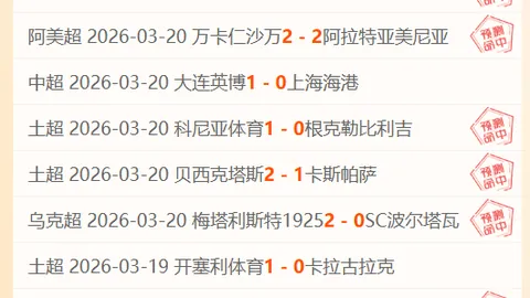 大乐透期号专家桑德推荐：热刺道德质合分析连胜攻略